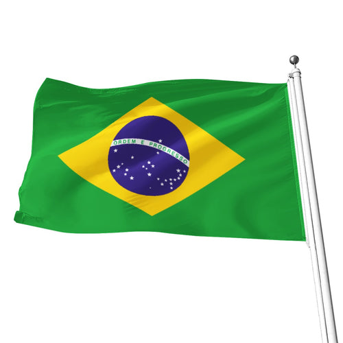 Bandera Brasil Clásica Verde y Amarilla Escudo Nacional